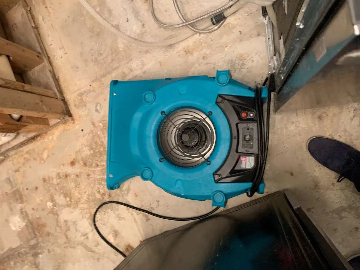 Air mover drying equipment for Mold Remediation & Removal in Palo Alto